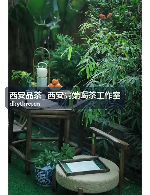 西安品茶最新推荐